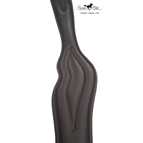 Popręg skórzany Anatomica brown Canter Club